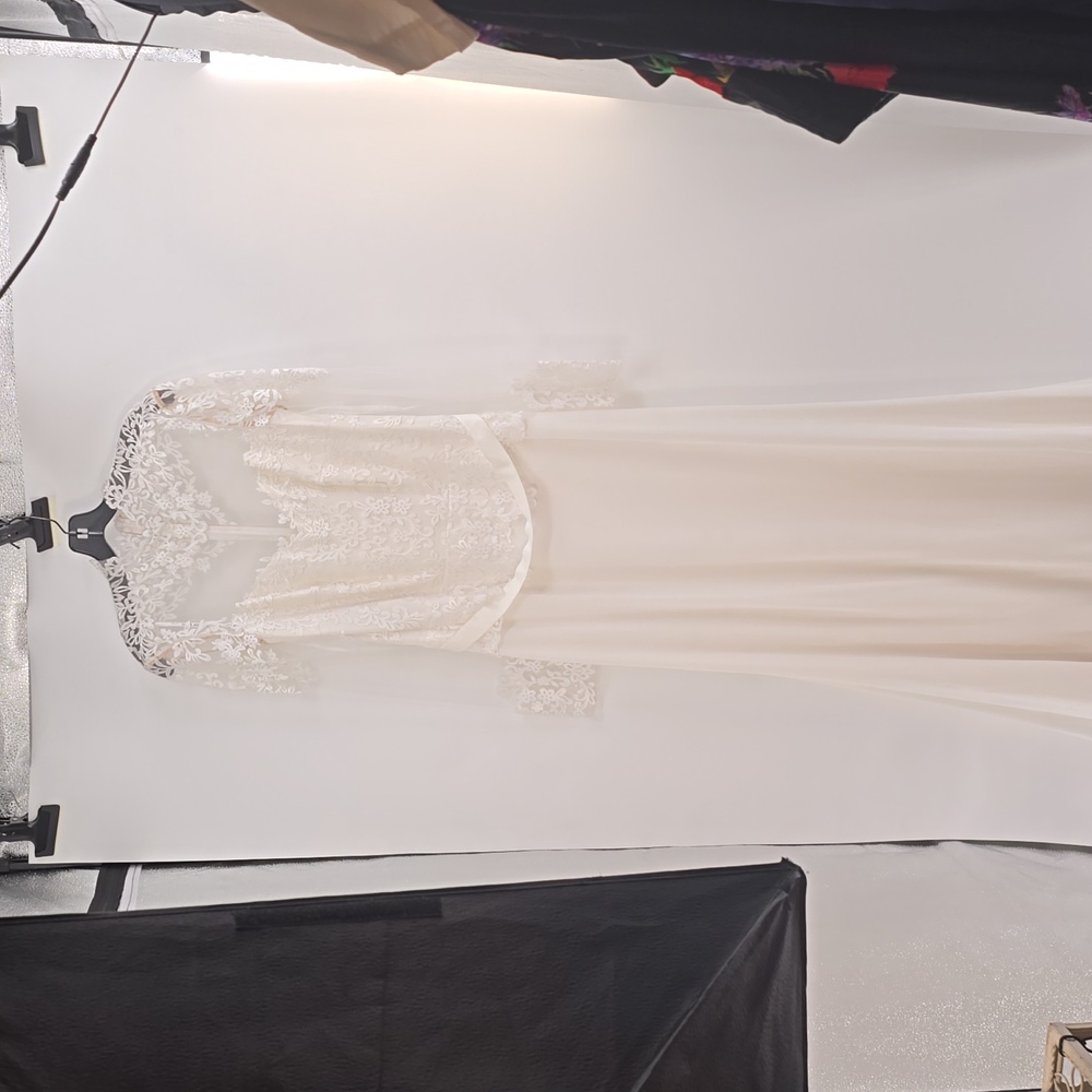 TADASHI SHOJI PRESCOTT FULL ILLUSION WEDDING GOWN - Picture 6 of 16